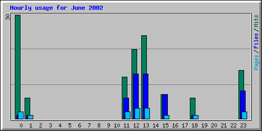 Hourly usage for June 2002